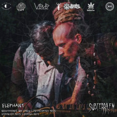 EP. 61. Elephant | subterra.fm