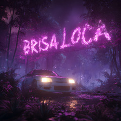 BRISA LOCA - ULTRA SLOWED