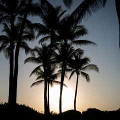 Dawn Mix (Demo)