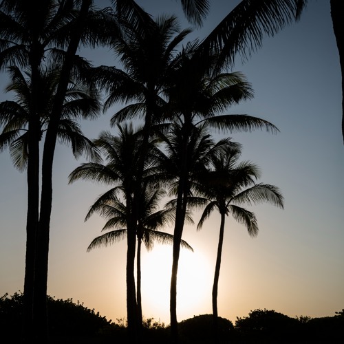 Dawn