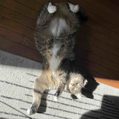 Luca's Interlude