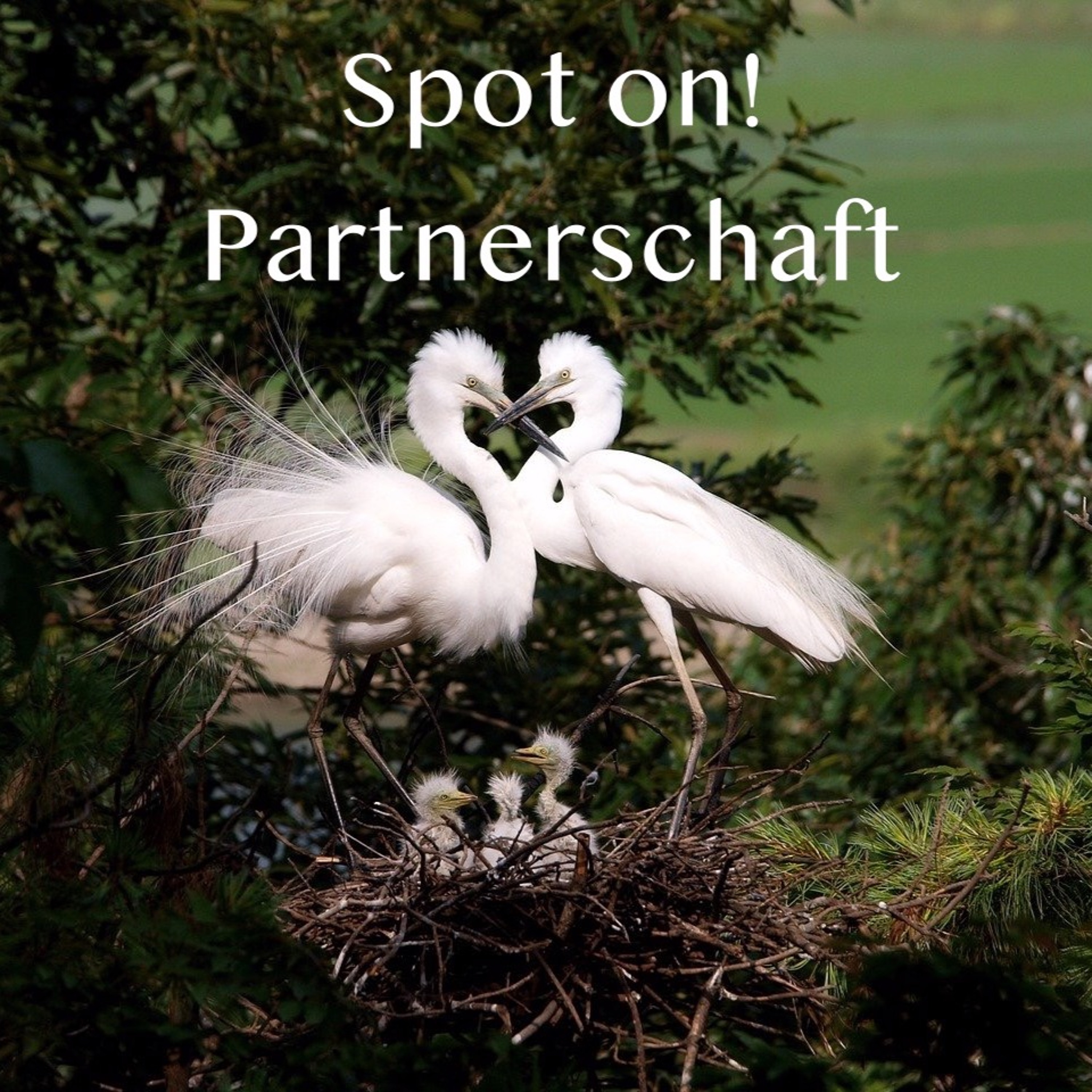 Seelentraum | Meditation | Coaching