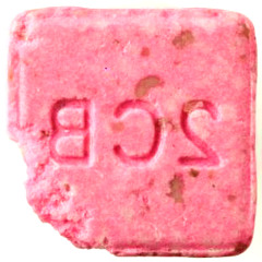 40 rise: Attempt To Walk Vol. 2 (210219) - Was uns nicht umbringt, ...