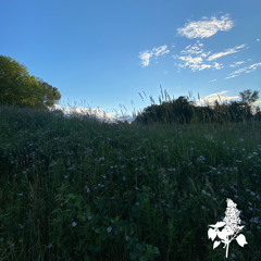 heart on my sleeve w/ decks (frevel)