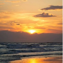 Hayat kararana kadar