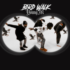 Bird Walk