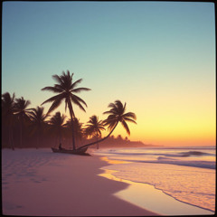 Beach Life