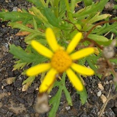 All Of It (Filthy Mix)