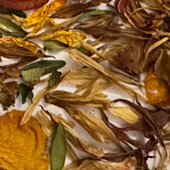 Space Shot (disquiet0683)