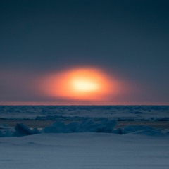 Symphony Under the Stars