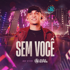 Sem Você (Ao Vivo)