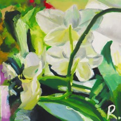 Ribley - Cactus
