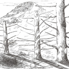 Ambient Experiments by Mhost Likely
