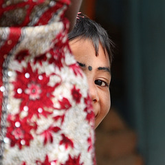 Görmesem Üzülürdüm