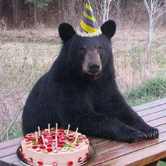 27 palos (birthday freestyle)((2023))