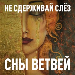 Не сдерживай слёз