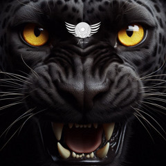 My House #7 - Black Jaguar
