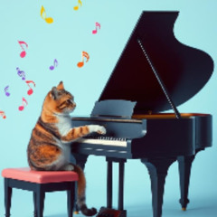 フルアコからピアノ