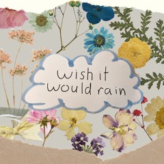Wish It Would Rain