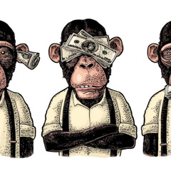 JMS X DONARI - synnit