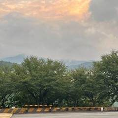 어른이 되고 나면, 결혼을 할거야. 쿨한 척 하지만, 아직 난 스폰지밥