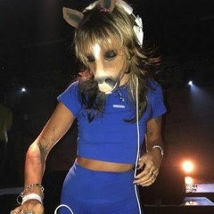 HorsegiirL B2b MCR T