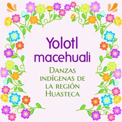 1. Danza del tigrillo - Pueblo tének - Serie Yolotl macehuali (Huastecos de corazón).