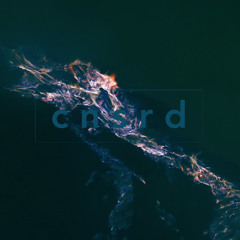 Footwork, Ghetto, Juke, Jungle