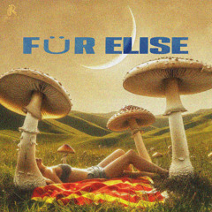 Strummit - Für Elise (Electric Guitar)
