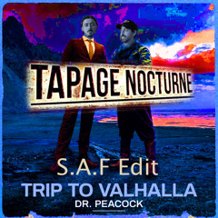 Dr. Peacock - Trip to Valhalla (S.A.F Remix Tapage Nocturne Closing BlackOut Edit)