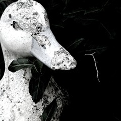 Swan Song (remake)