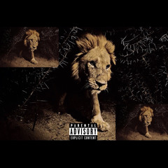 EJ NvTure-Lonely road