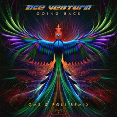 Ace Ventura - Going Back (GMS & Poli Remix) (sample)