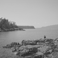 Watching The Seals