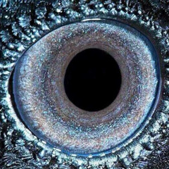 RESURGENCE (prod.clvr)