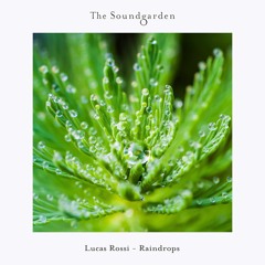 Liquid Sky [The Soundgarden]