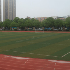 Race in the Rain