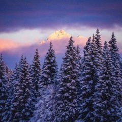 From Kowalski with Love Volume 17