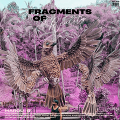 Fragments Of Reality - Marou B - Set