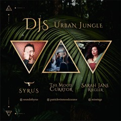 Urban Jungle Set 020220