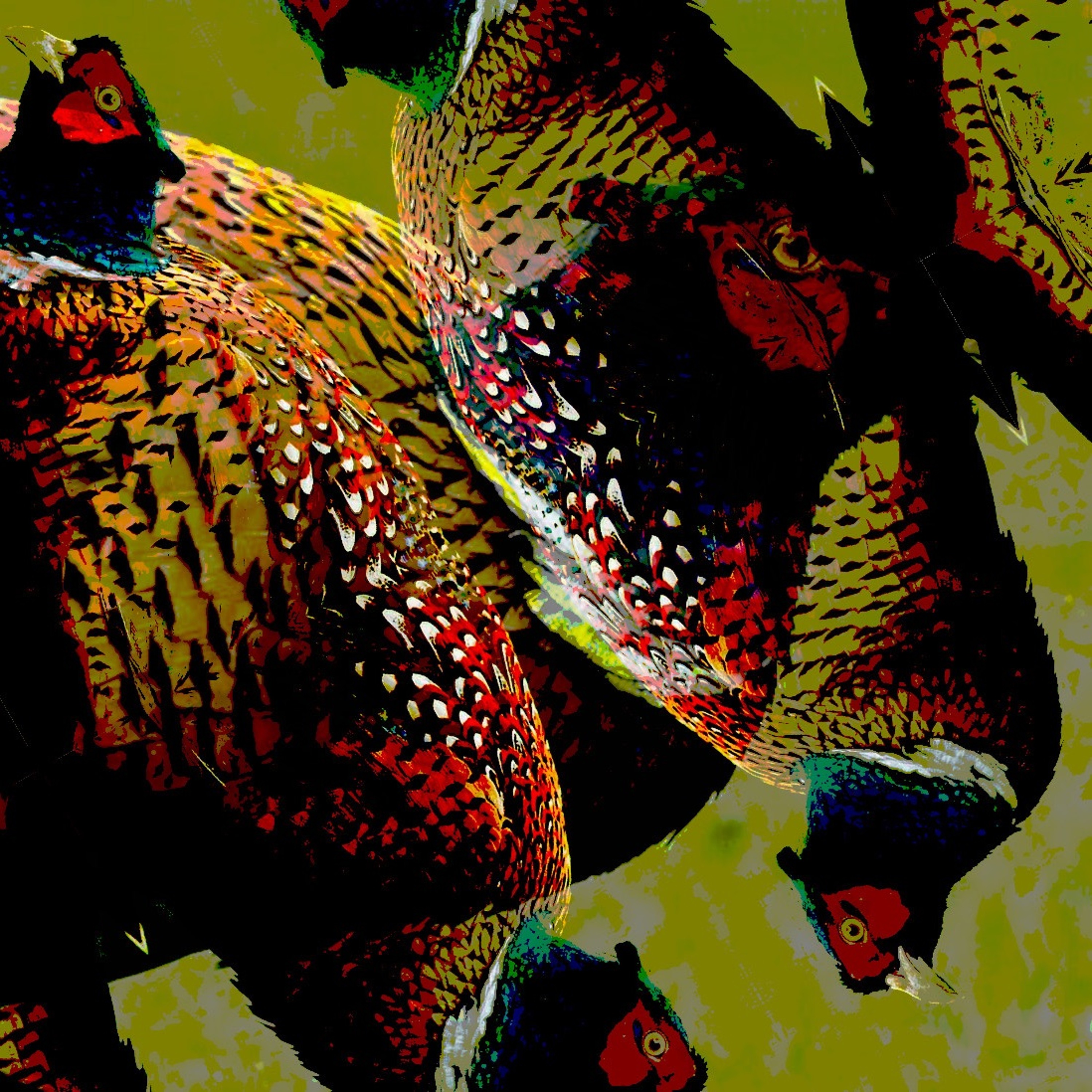 Pheasantry Pleasantry (disquiet0639) episode artwork