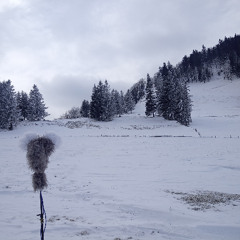 Wind on top of mountain - short clips