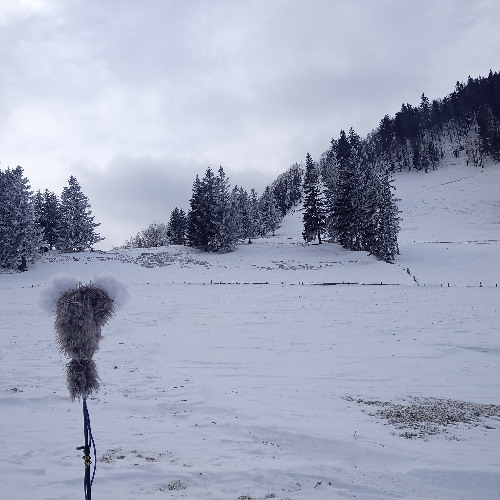 Wind on top of mountain - short clips
