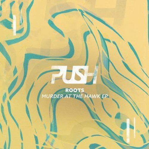 PUSH020 | Roots - Murder at the Hawk EP
