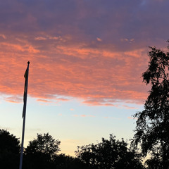 The way you looked at me