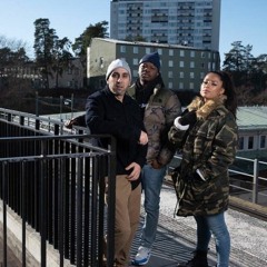 Houman Sebghati - Allt för konsten ft. Linda Pira & Finess (Don Gordeone Remix)