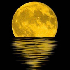 Jackomo - Fullmoon
