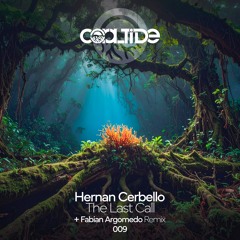 Hernan Cerbello - The Last Call (Original Mix)