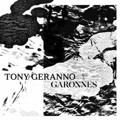 02 Des Déments Inconnus De Toi