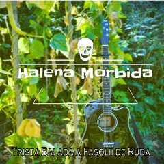 Trista Balada a Fasolii de Ruda